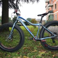 Fat bike