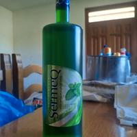 vodka alla menta, bottiglia nuova e piena