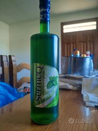 vodka alla menta, bottiglia nuova e piena