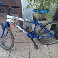 bicicletta