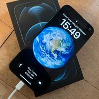 IPhone 12 Pro Max 256Gb