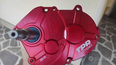 Carter rapporti Top TPR + rapporti primari Stage 6