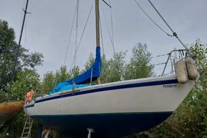 barca a vela Jouet Regent 27    8.30m