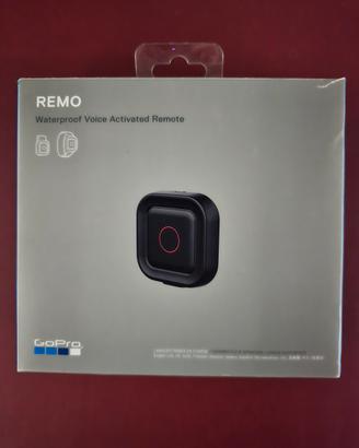 GoPro remote REMO