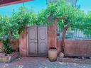 indipendente-in-stile-siciliano-pedara