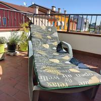 Sdraio Reclinabile + Cuscino