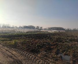 Terreni agricoli - invito ad offrire