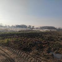 Terreni agricoli - invito ad offrire