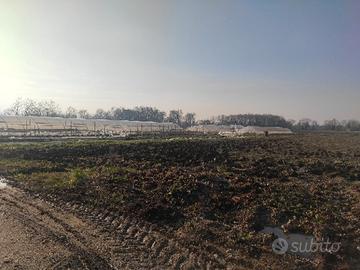 Terreni agricoli - invito ad offrire