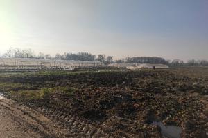 Terreni agricoli - invito ad offrire