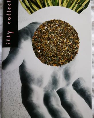 Tazzine collezione 2000 illy caffè F. Ford Coppola