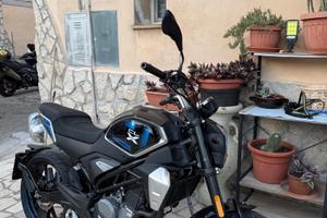 CF moto - clx heritage 300