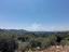 Immagine 23