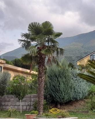 Villa singola - Solopaca