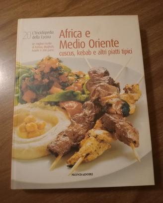 africa e medio oriente 