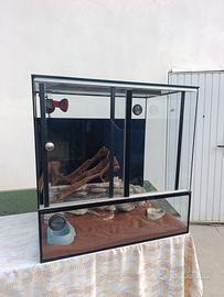 teca per rettili