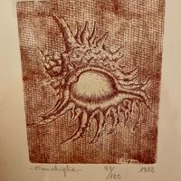 Coppia di Acqueforti Originali, Carlo Voghera 1982