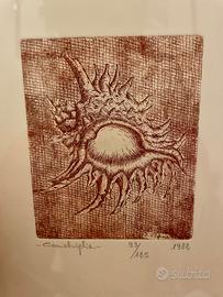 Coppia di Acqueforti Originali, Carlo Voghera 1982