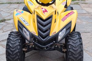 Miniquad Dinli Cobia 50