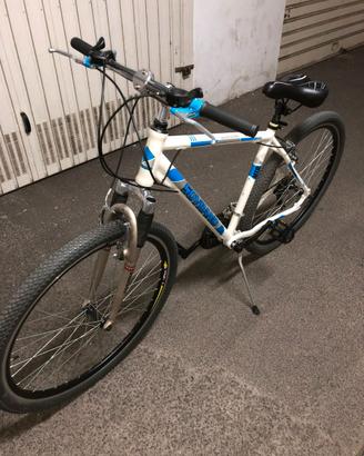 Bici Mtb 29 unisex