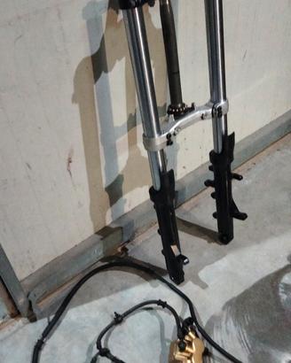 forcella t max 2007
