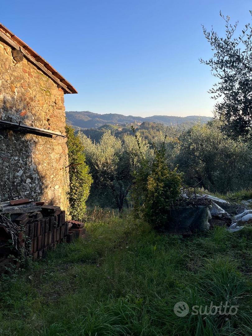 Rustico con oliveto a San Quirico di Valleriana - Vista 2