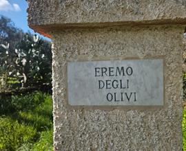 Tenuta con 10 ettari di terreno