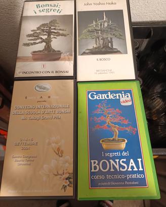 4VHS per Bonsai