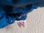 Immagine 5