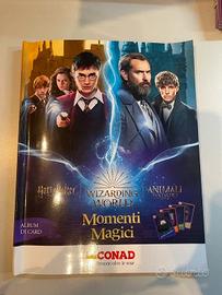 Libro con carte Harry Potter e Animali Fantastici