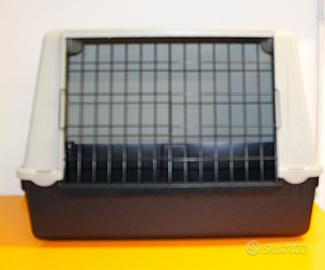 Car Atlas Mini