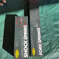 Molle sospesioni Honda CRF 250 R 2024