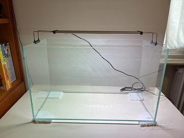 Acquario