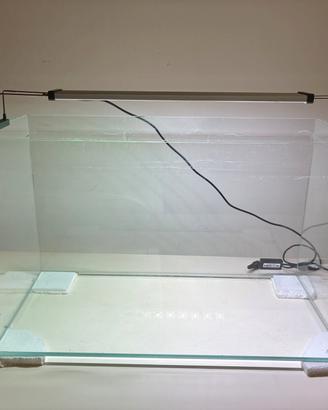 Acquario