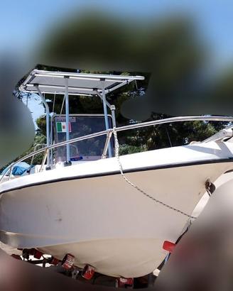 Open Busco560 + Honda40hp + carrello 