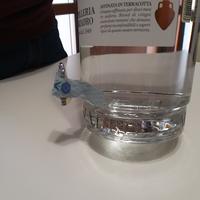 grappa trentina diciotto lune