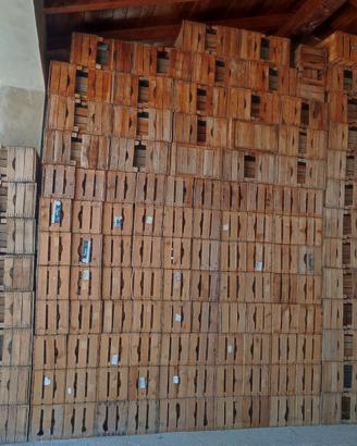 Casse in legno per frutta