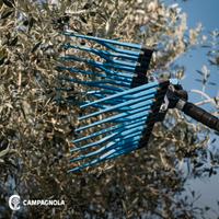Abbacchiatore Pneumatico CAMPAGNOLA NEW IRON