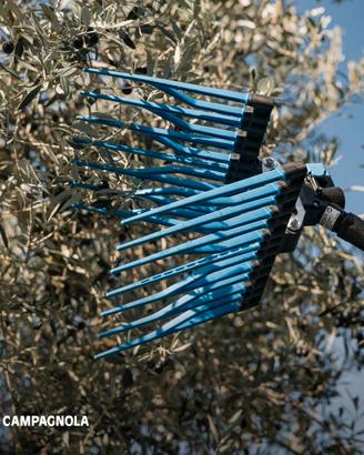 Abbacchiatore Pneumatico CAMPAGNOLA NEW IRON