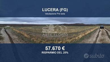 Immobile in asta di 42251 m² a Lucera
