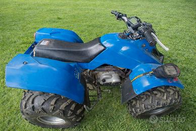 quad kawasaki lf300b