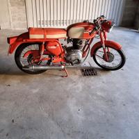 Moto d’epoca tenute maniacalmente