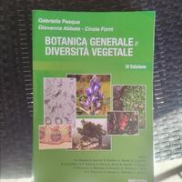 Libri scuola e università