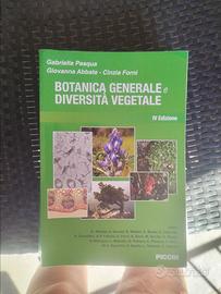 Libri scuola e università