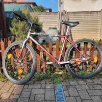 Mountain bike 26"