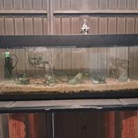 acquario completo  130 litri con accessori