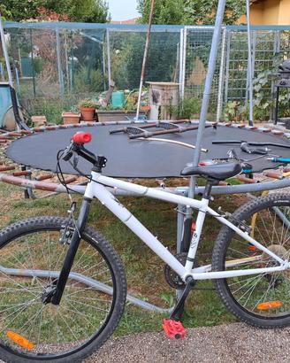 Bicicletta 9/12 anni.