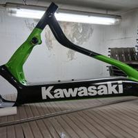 Telaio bici kavasaki