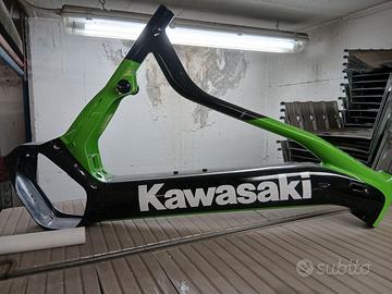 Telaio bici kavasaki