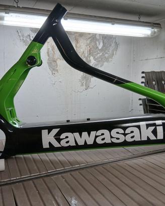 Telaio bici kavasaki